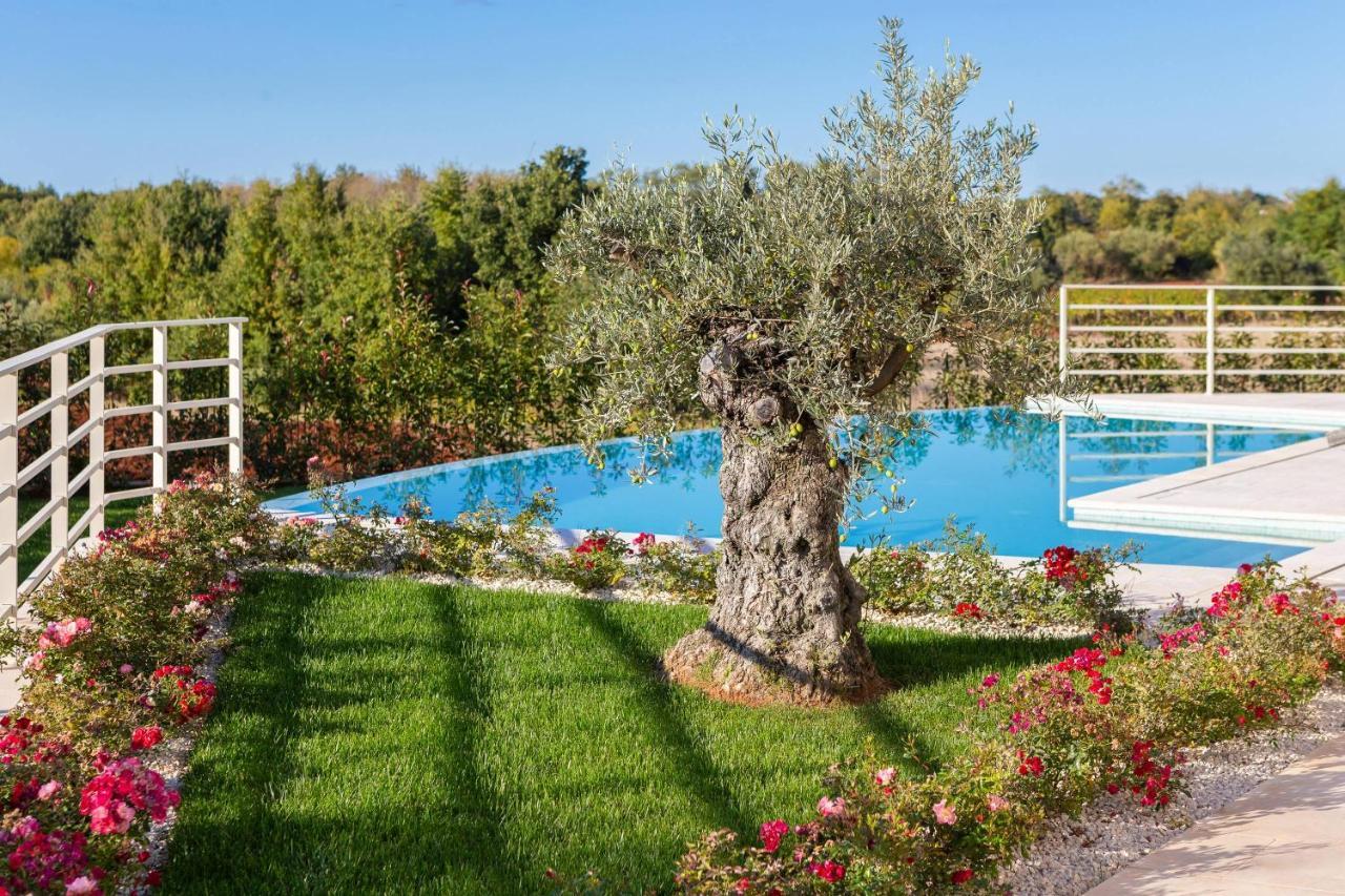 Villa Blanche By Ilc Brtonigla Exterior photo